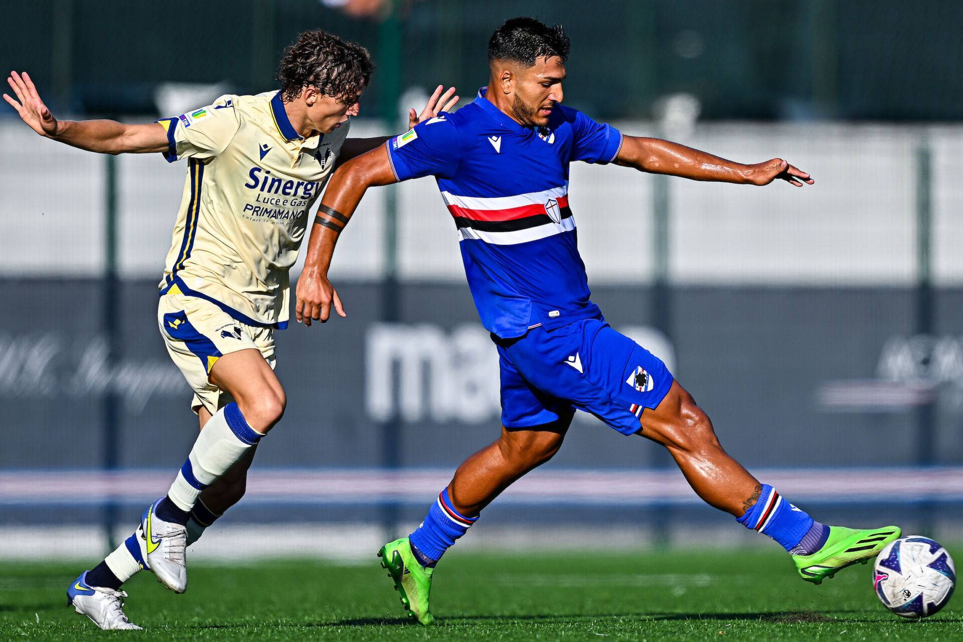 -尤文战平AC米兰，凯恩补时绝平欧冠